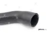 Kühlerschlauch links oben PREXAparts P326029 Bild Kühlerschlauch links oben PREXAparts P326029