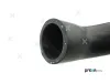Kühlerschlauch rechts unten PREXAparts P326030 Bild Kühlerschlauch rechts unten PREXAparts P326030
