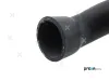 Kühlerschlauch unten PREXAparts P326055 Bild Kühlerschlauch unten PREXAparts P326055