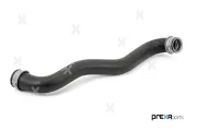 Kühlerschlauch links oben PREXAparts P326196