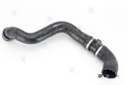 Kühlerschlauch oben PREXAparts P326293