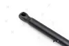 Gasfeder, Motorhaube PREXAparts P337002 Bild Gasfeder, Motorhaube PREXAparts P337002
