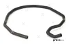 Kühlerschlauch PREXAparts P526084 Bild Kühlerschlauch PREXAparts P526084
