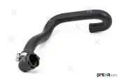 Kühlerschlauch PREXAparts P526100