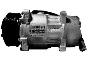 Kompressor, Klimaanlage Henkel Parts 7110007R