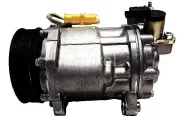 Kompressor, Klimaanlage Henkel Parts 7110328R