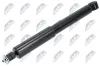Stoßdämpfer Hinterachse NTY A-MS-024 Bild Stoßdämpfer Hinterachse NTY A-MS-024