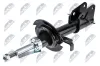 Stoßdämpfer Vorderachse NTY A-RE-005 Bild Stoßdämpfer Vorderachse NTY A-RE-005