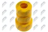 Anschlagpuffer, Federung Vorderachse NTY AB-TY-024