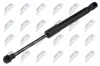 Gasfeder, Motorhaube NTY AE-AR-024
