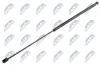 Gasfeder, Motorhaube NTY AE-AU-000
