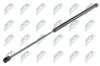 Gasfeder, Motorhaube NTY AE-AU-045