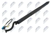 Gasfeder, Koffer-/Laderaum hinten links NTY AE-BM-098