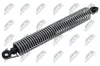 Gasfeder, Koffer-/Laderaum hinten links NTY AE-BM-102