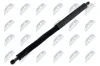 Gasfeder, Koffer-/Laderaum hinten links NTY AE-BM-108