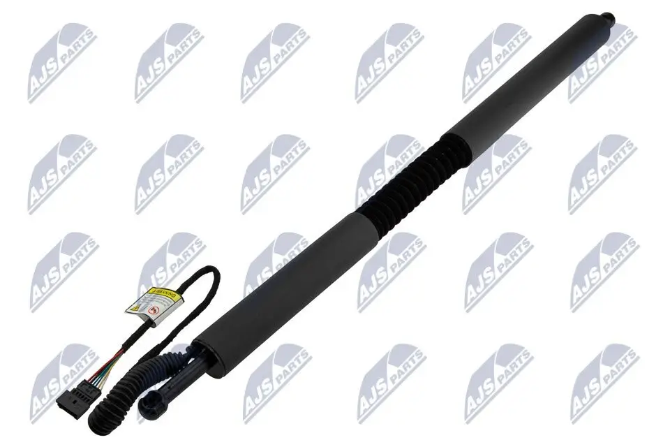 Gasfeder, Koffer-/Laderaum hinten links NTY AE-BM-109