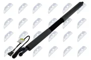 Gasfeder, Koffer-/Laderaum hinten links NTY AE-BM-109