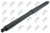 Gasfeder, Koffer-/Laderaum hinten links hinten rechts NTY AE-BM-118