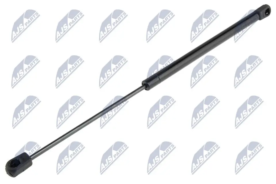 Gasfeder, Koffer-/Laderaum hinten links hinten rechts NTY AE-CH-014