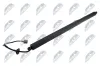 Gasfeder, Koffer-/Laderaum hinten links NTY AE-CH-049