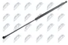 Gasfeder, Koffer-/Laderaum NTY AE-CT-000