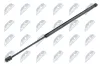 Gasfeder, Koffer-/Laderaum NTY AE-CT-021