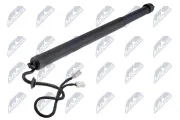 Elektromotor, Heckklappe hinten links NTY AE-CT-057