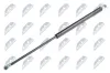 Gasfeder, Koffer-/Laderaum NTY AE-DW-000