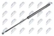 Gasfeder, Koffer-/Laderaum NTY AE-DW-000