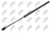 Gasfeder, Koffer-/Laderaum NTY AE-FR-062
