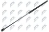 Gasfeder, Motorhaube NTY AE-ME-065