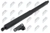 Gasfeder, Koffer-/Laderaum hinten links NTY AE-ME-083