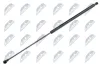 Gasfeder, Koffer-/Laderaum NTY AE-NS-010