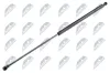 Gasfeder, Heckscheibe hinten links hinten rechts NTY AE-PE-012