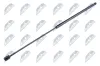 Gasfeder, Motorhaube NTY AE-SA-003