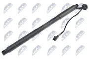 Gasfeder, Koffer-/Laderaum hinten links NTY AE-VV-001