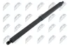 Gasfeder, Koffer-/Laderaum hinten links hinten rechts NTY AE-VV-039