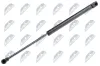 Gasfeder, Motorhaube NTY AE-VW-032