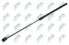 Gasfeder, Motorhaube beidseitig NTY AE-VW-085