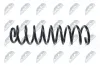 Fahrwerksfeder Hinterachse NTY ASZ-CH-004 Bild Fahrwerksfeder Hinterachse NTY ASZ-CH-004
