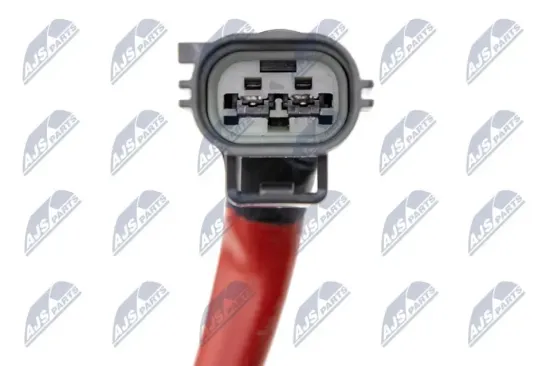 Einspritzeinheit, Ruß-/Partikelfilterregeneration NTY BWP-FR-005 Bild Einspritzeinheit, Ruß-/Partikelfilterregeneration NTY BWP-FR-005