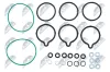 Reparatursatz, Common-Rail-System NTY BWP-VW-011 Bild Reparatursatz, Common-Rail-System NTY BWP-VW-011