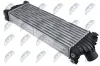 Ladeluftkühler NTY CNG-FR-013 Bild Ladeluftkühler NTY CNG-FR-013