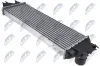 Ladeluftkühler NTY CNG-NS-003 Bild Ladeluftkühler NTY CNG-NS-003