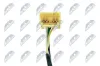 Wickelfeder, Airbag NTY EAS-HD-011 Bild Wickelfeder, Airbag NTY EAS-HD-011
