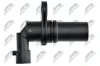 Impulsgeber, Kurbelwelle NTY ECP-AR-004 Bild Impulsgeber, Kurbelwelle NTY ECP-AR-004