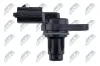 Sensor, Nockenwellenposition NTY ECP-HY-006 Bild Sensor, Nockenwellenposition NTY ECP-HY-006