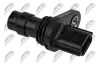 Sensor, Nockenwellenposition NTY ECP-NS-007 Bild Sensor, Nockenwellenposition NTY ECP-NS-007