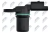 Sensor, Nockenwellenposition NTY ECP-NS-013 Bild Sensor, Nockenwellenposition NTY ECP-NS-013