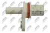 Sensor, Nockenwellenposition NTY ECP-PL-032 Bild Sensor, Nockenwellenposition NTY ECP-PL-032